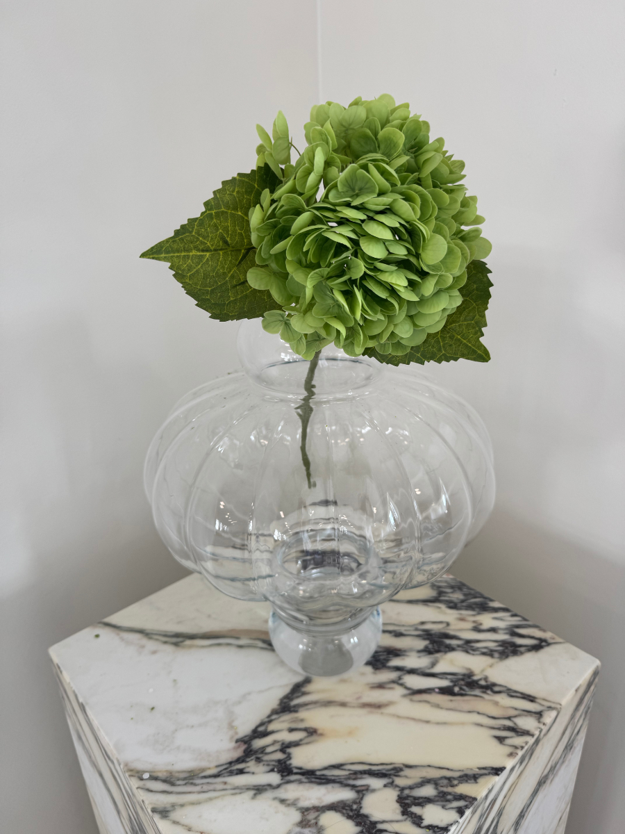 Emerald Hydrangea