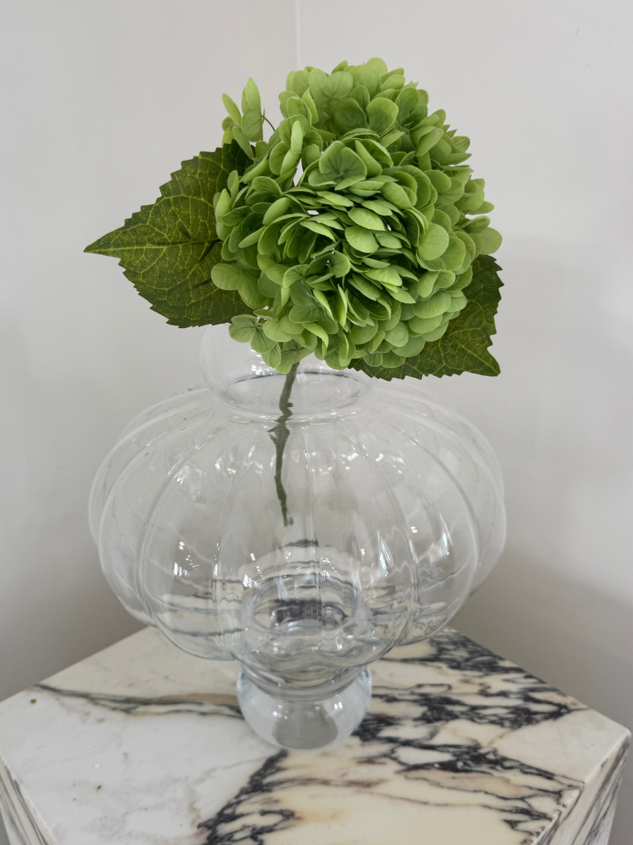 Emerald Hydrangea