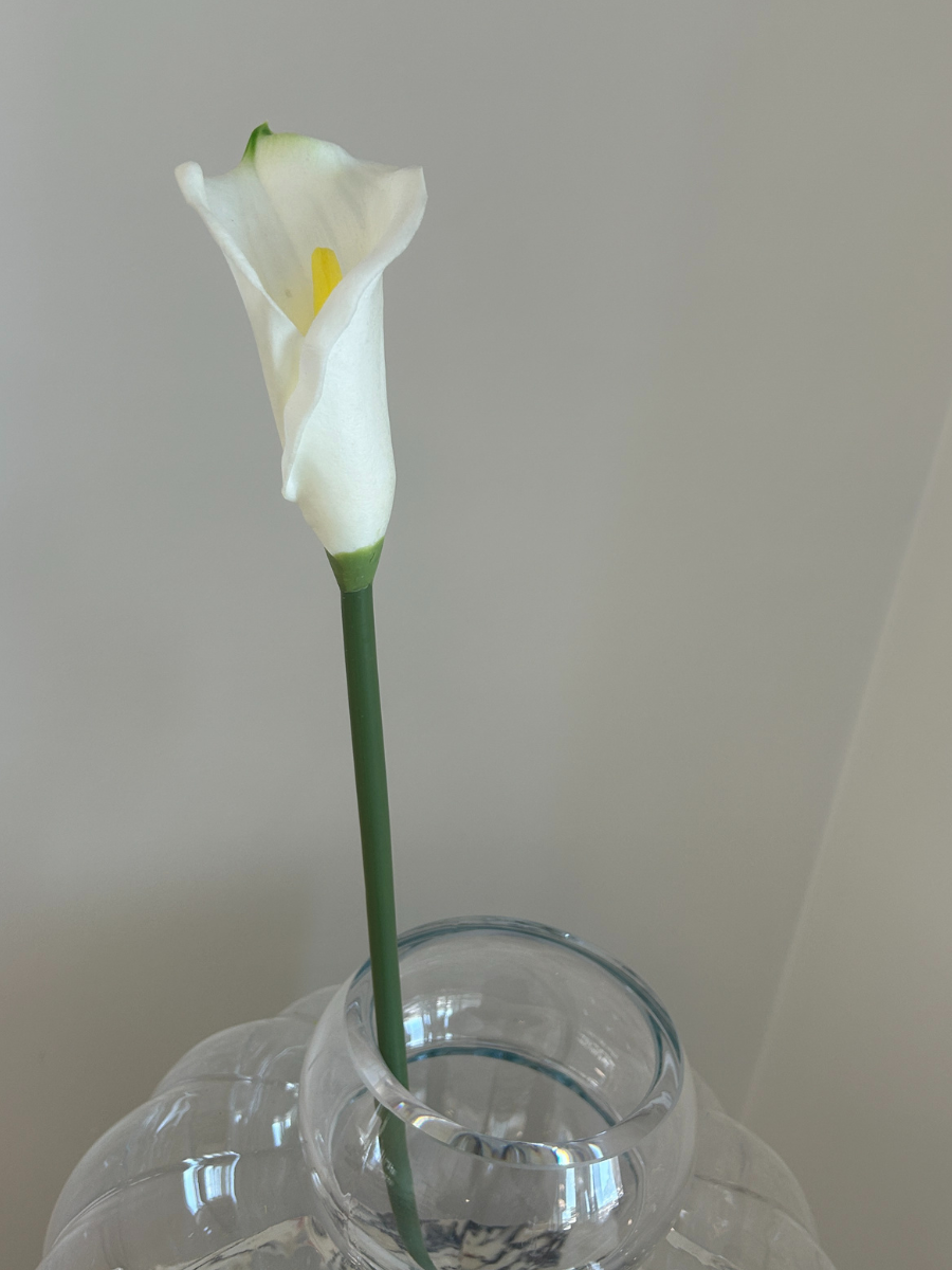 Ivory Calla Lily