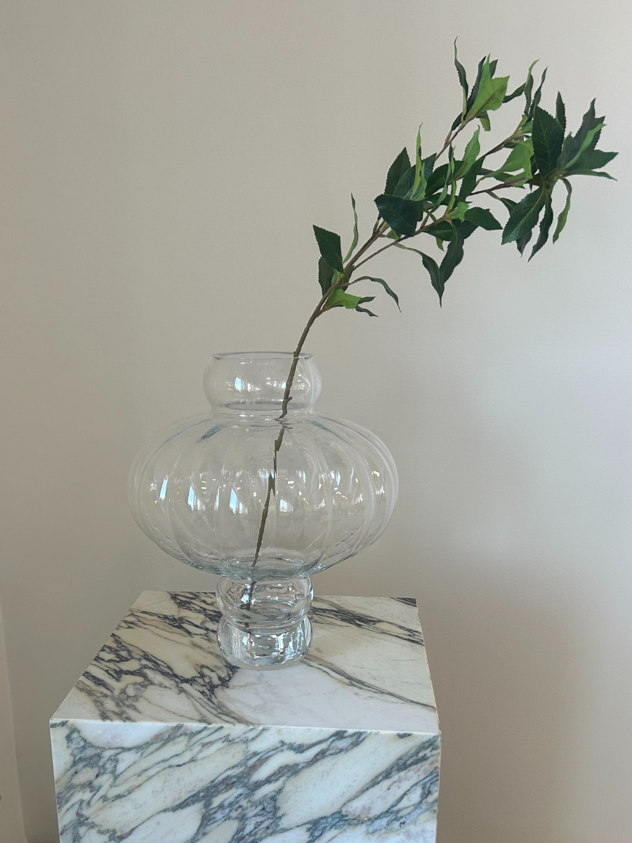 Mediterranean Laurel Stem