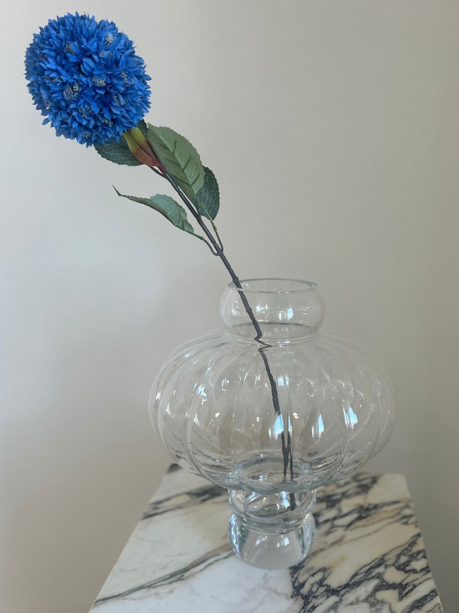 Blue Allium Azureum