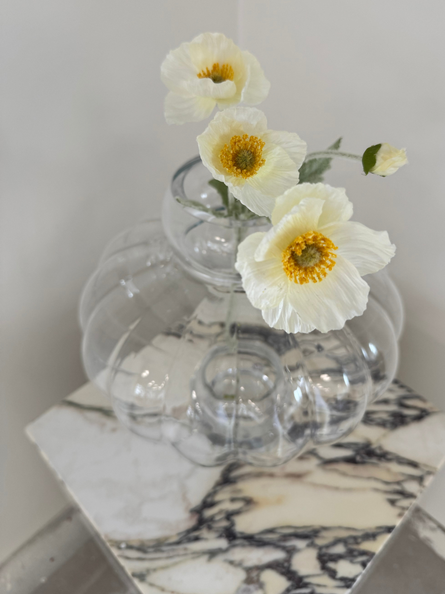 Ivory Poppy