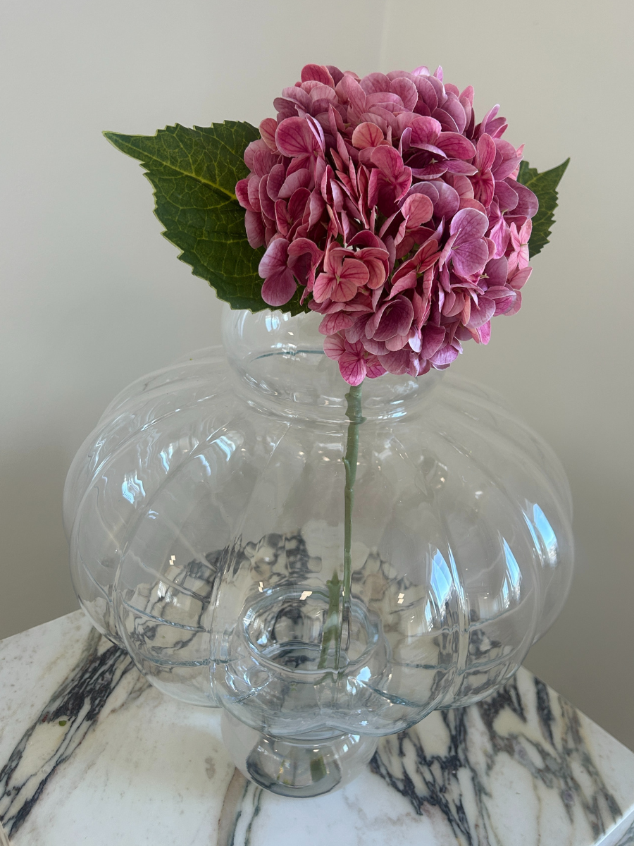 Rosewood Hydrangea