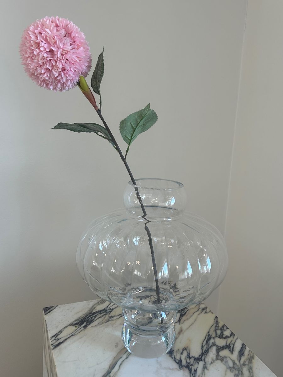 Pink Allium Azureum