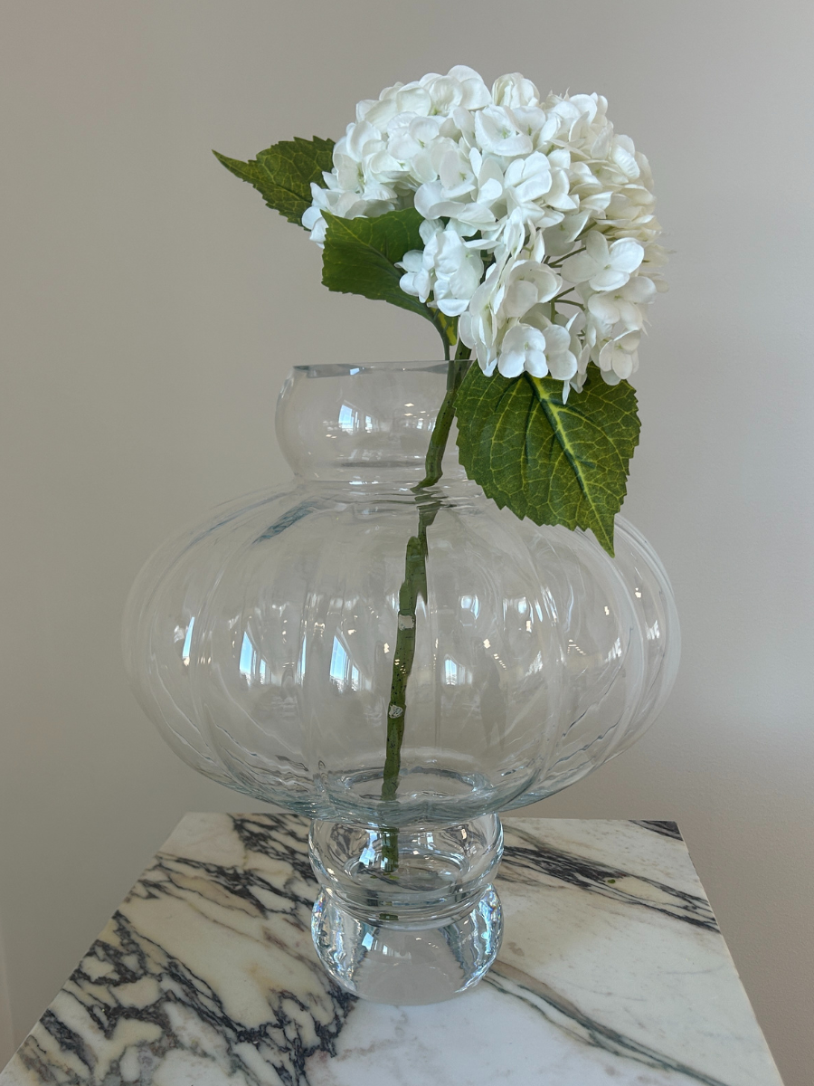 Snow White Hydrangea