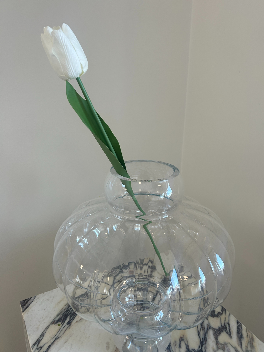 Pure White Tulip
