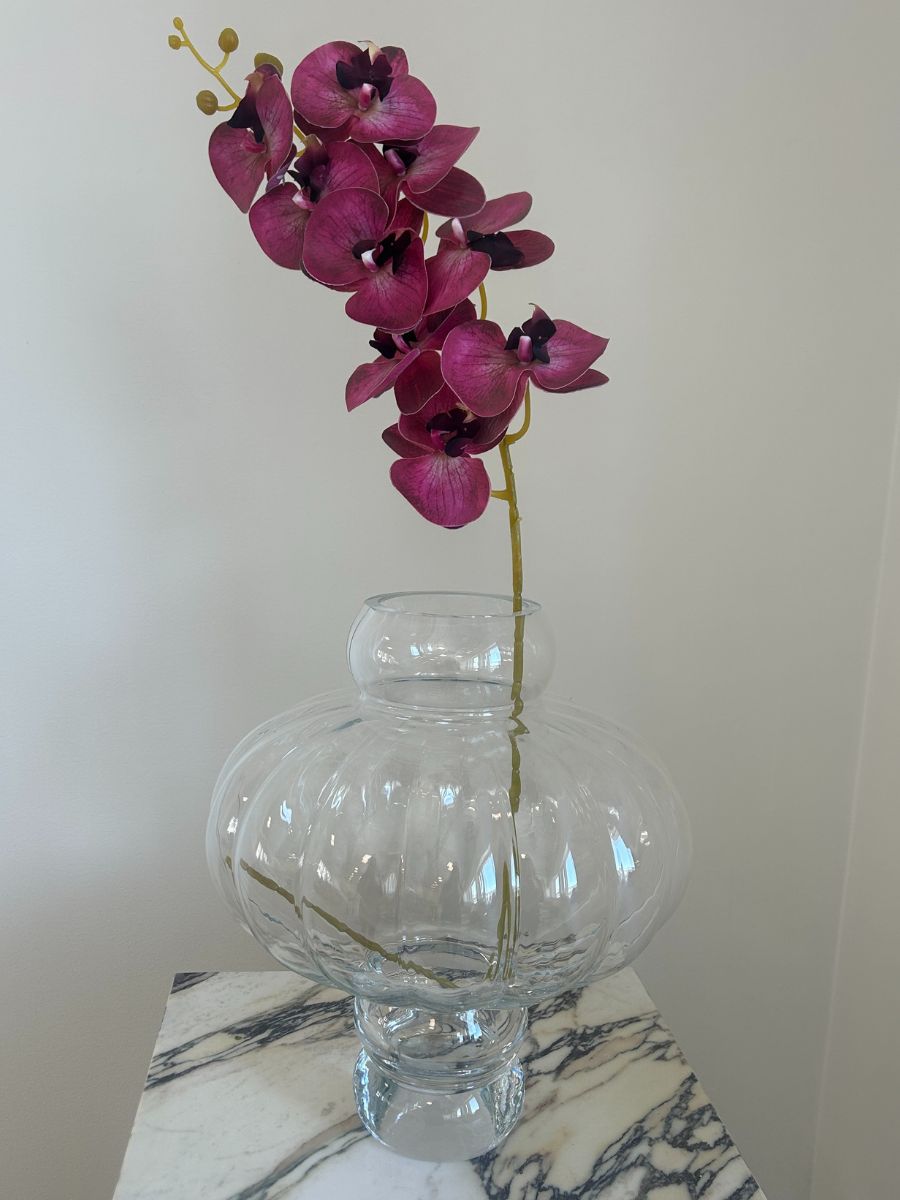 Burgundy Orchid