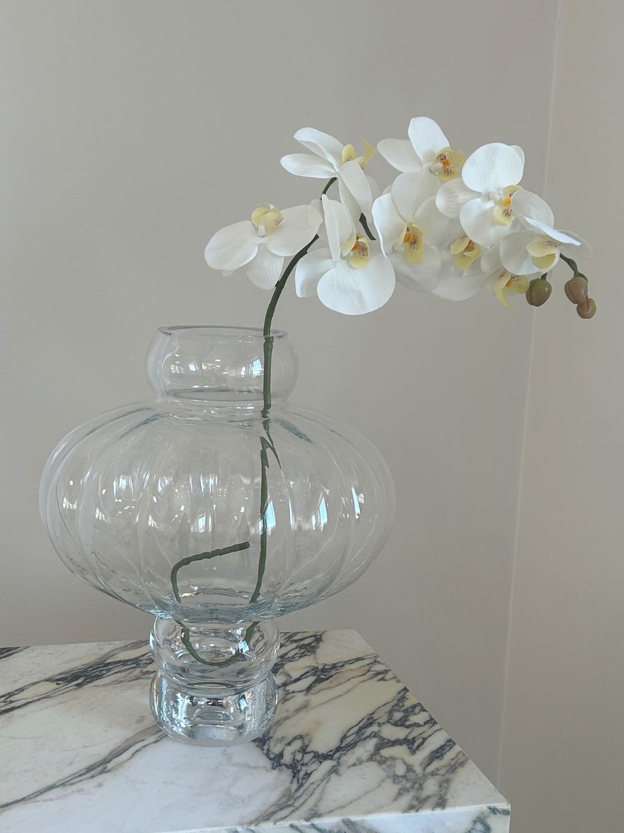 White Orchid