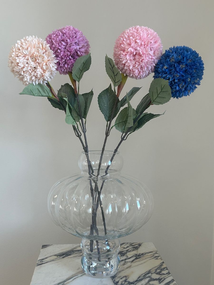 Blue Allium Azureum