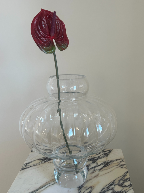 Anthurium Flower Burgundy