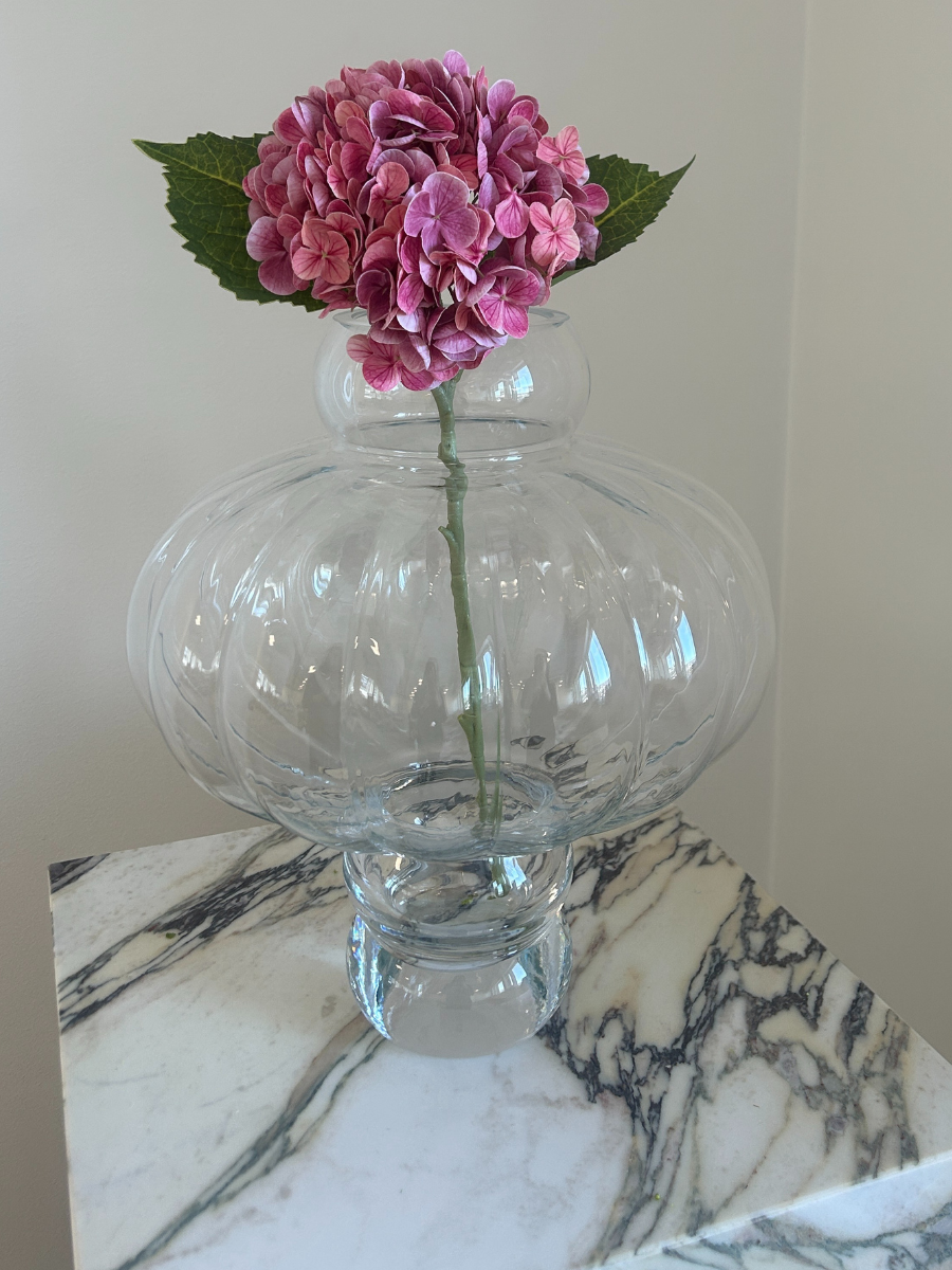 Rosewood Hydrangea