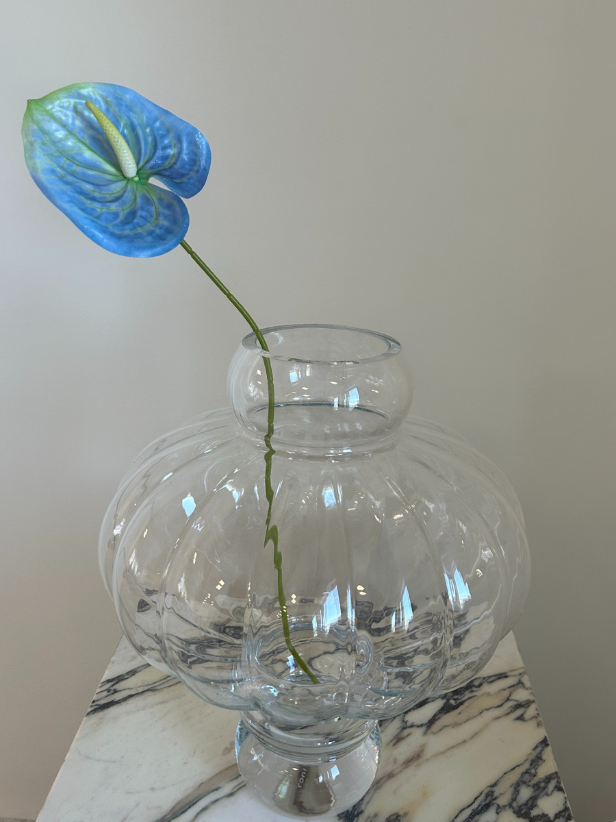 Ocean Mist Anthurium
