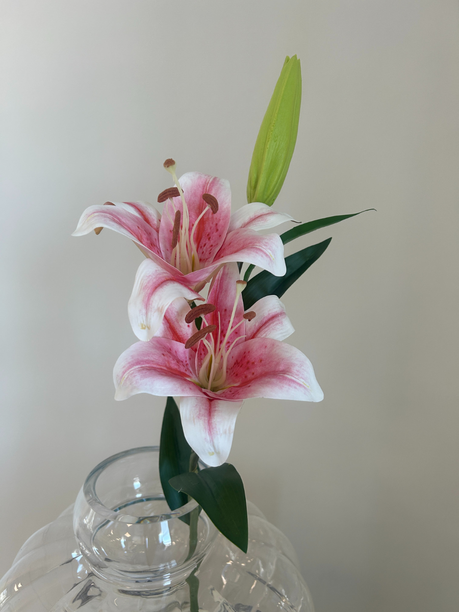 Blush Pink Lily