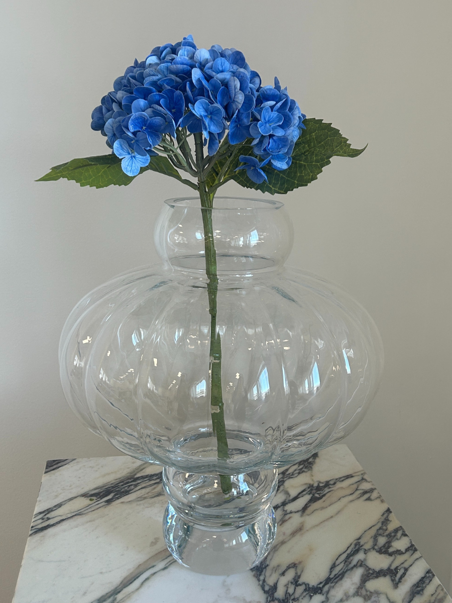 Midnight Blue Hydrangea