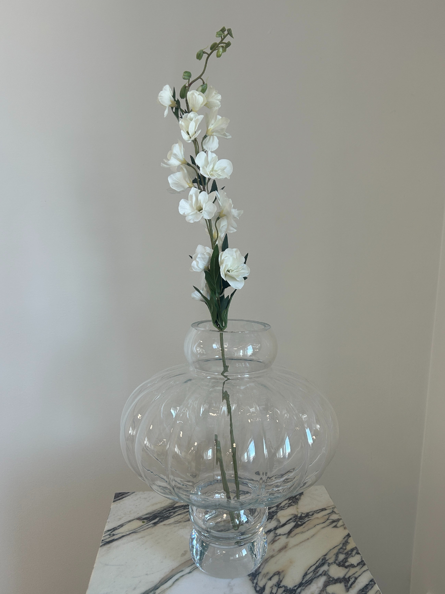 Ivory Delphinium