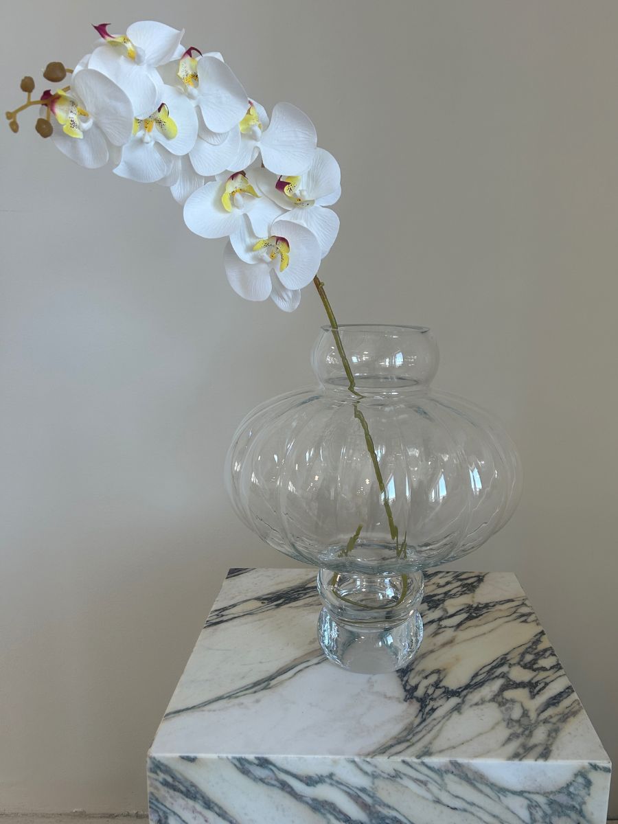 White Mix Orchid