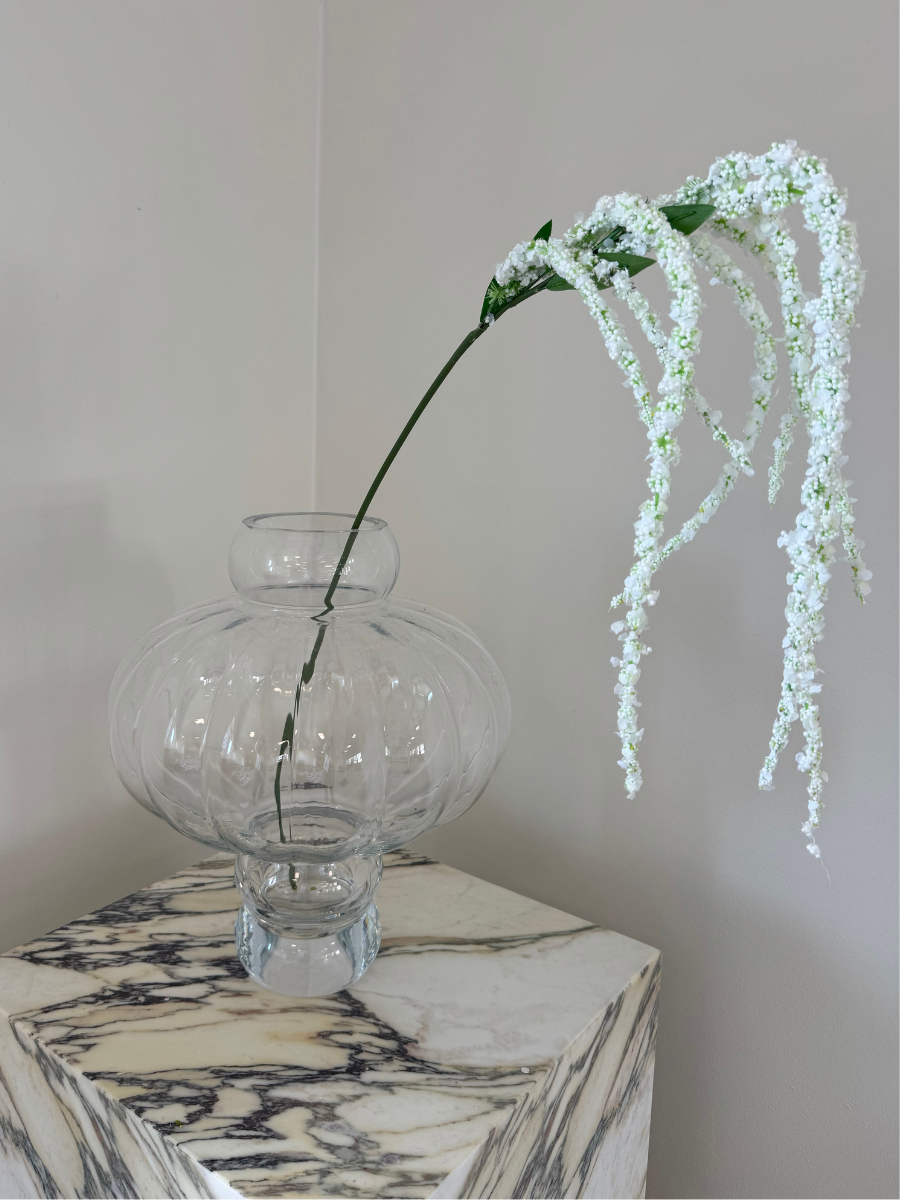 Pure White Amaranthus
