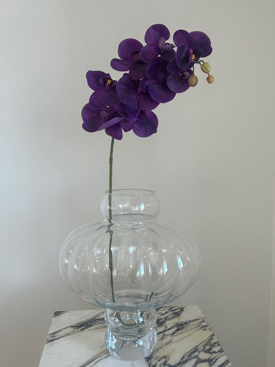 Purple Orchid