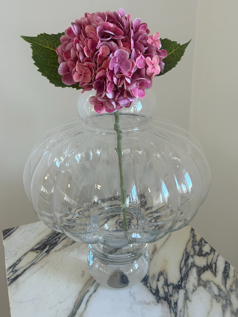 Rosewood Hydrangea