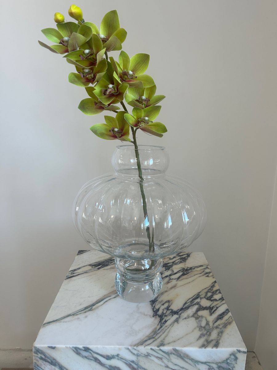 Light Green Cymbidium Orchid