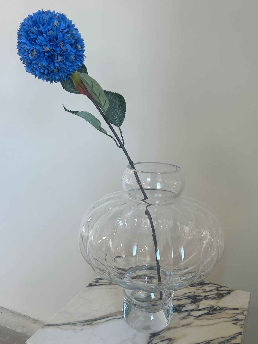 Blue Allium Azureum