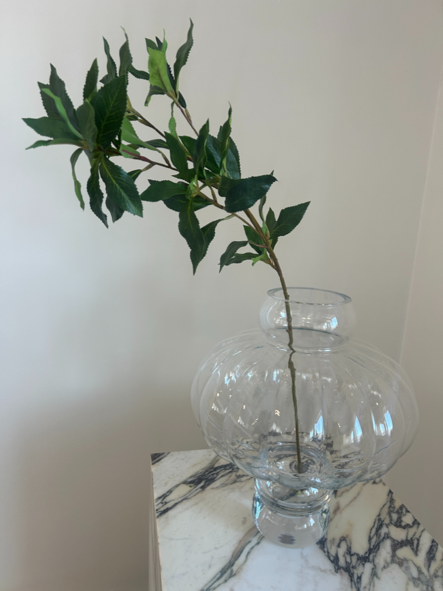 Mediterranean Laurel Stem