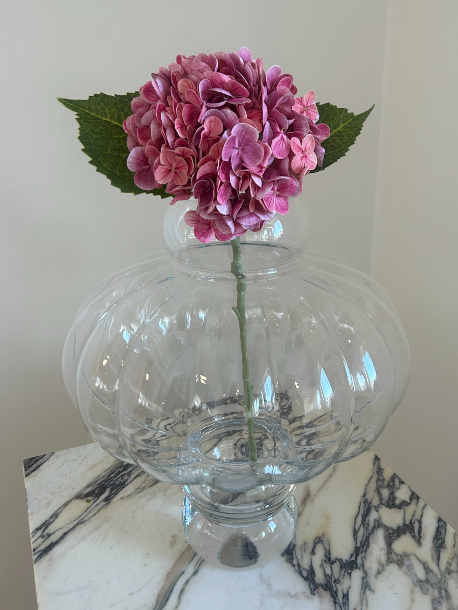 Rosewood Hydrangea