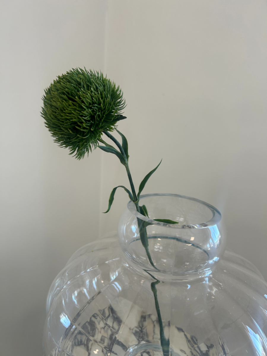 Green Ball Dianthus