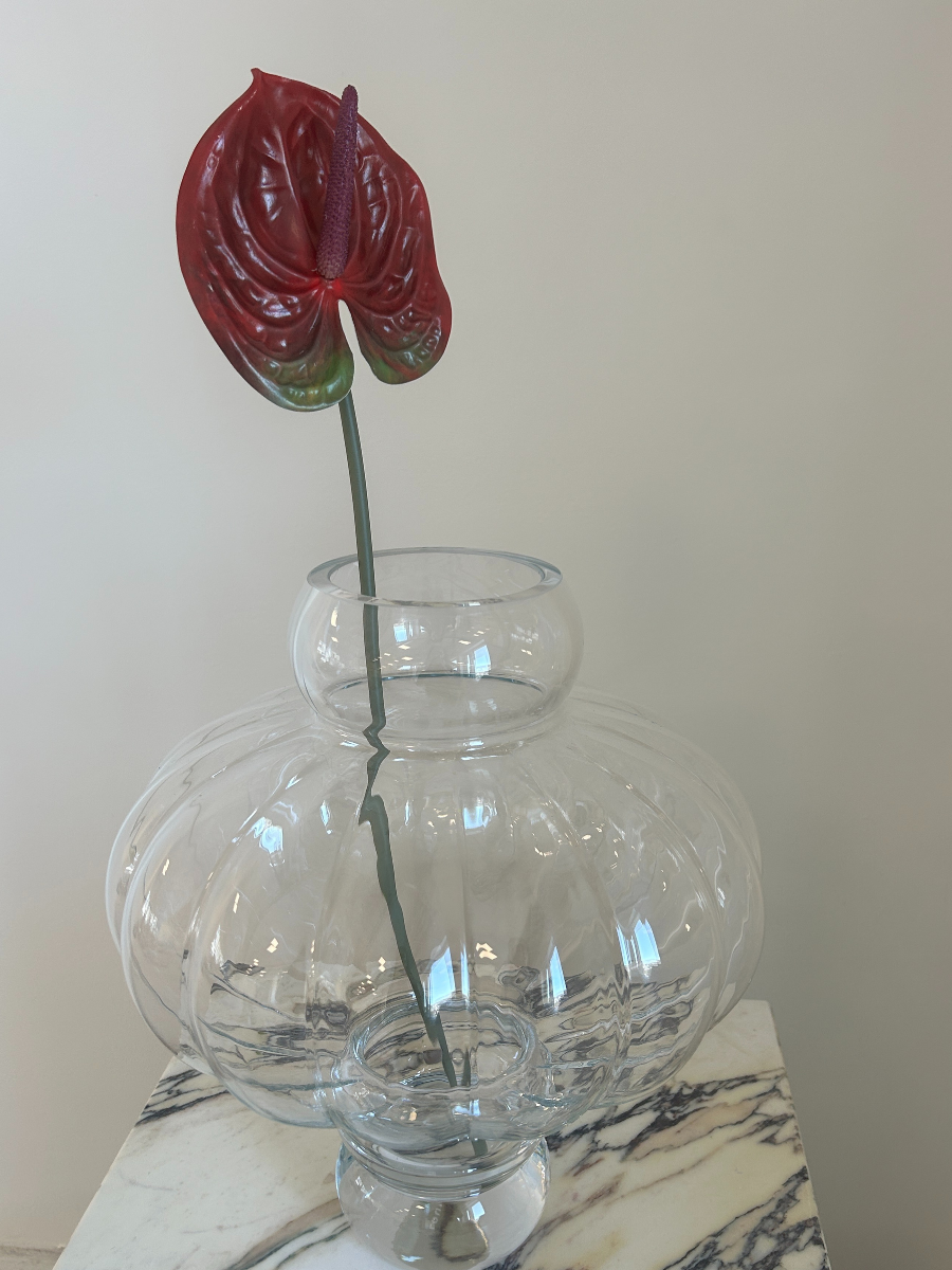 Anthurium Flower Burgundy