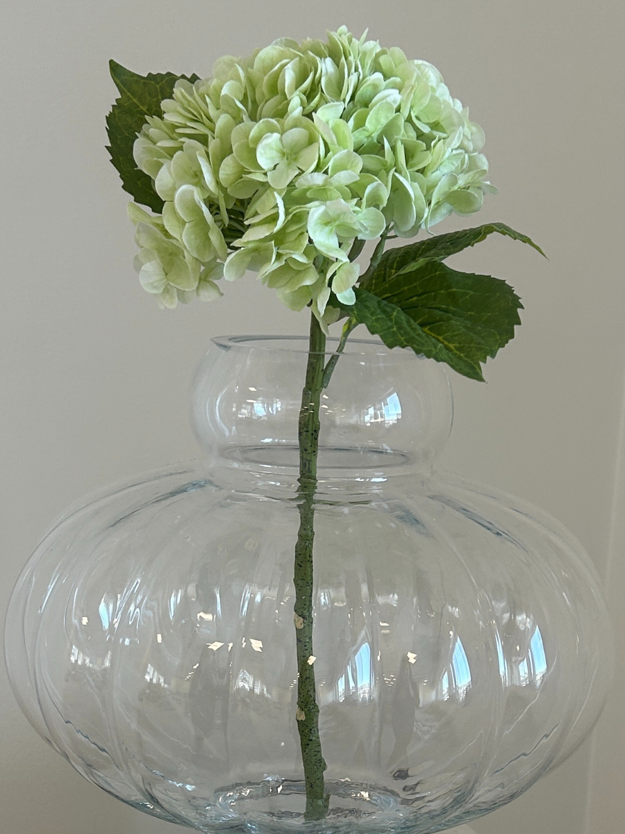 Sage Hydrangea
