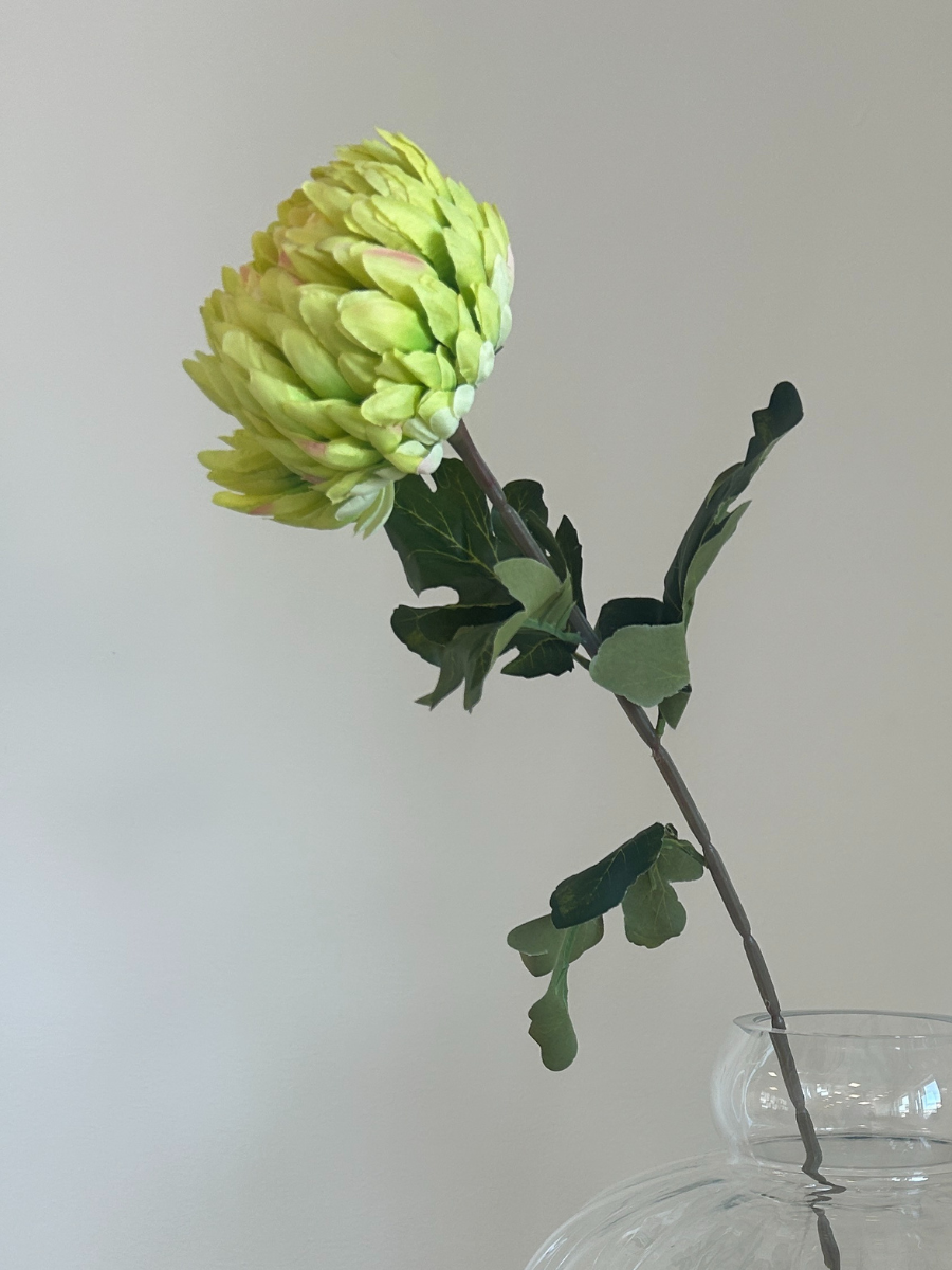 Emerald Chrysanthemum