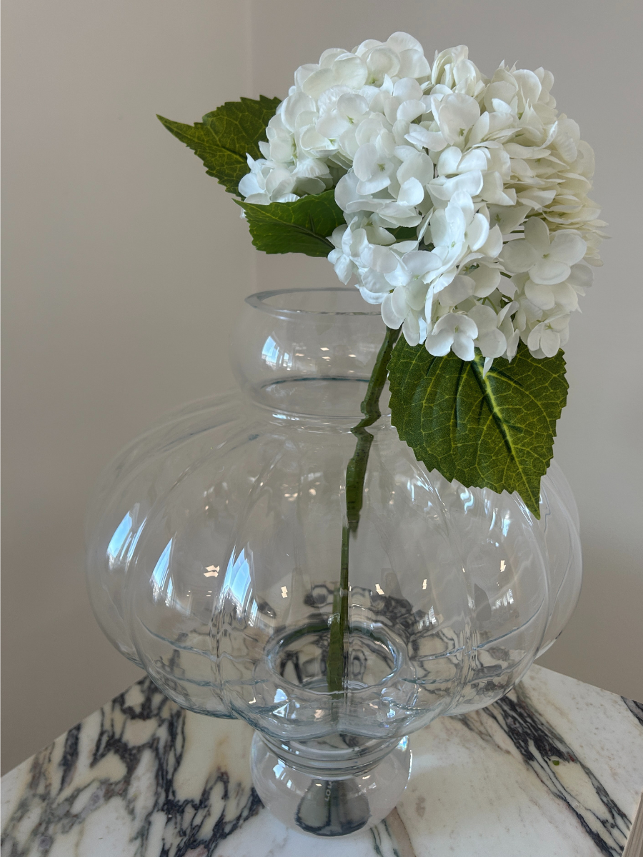 Snow White Hydrangea
