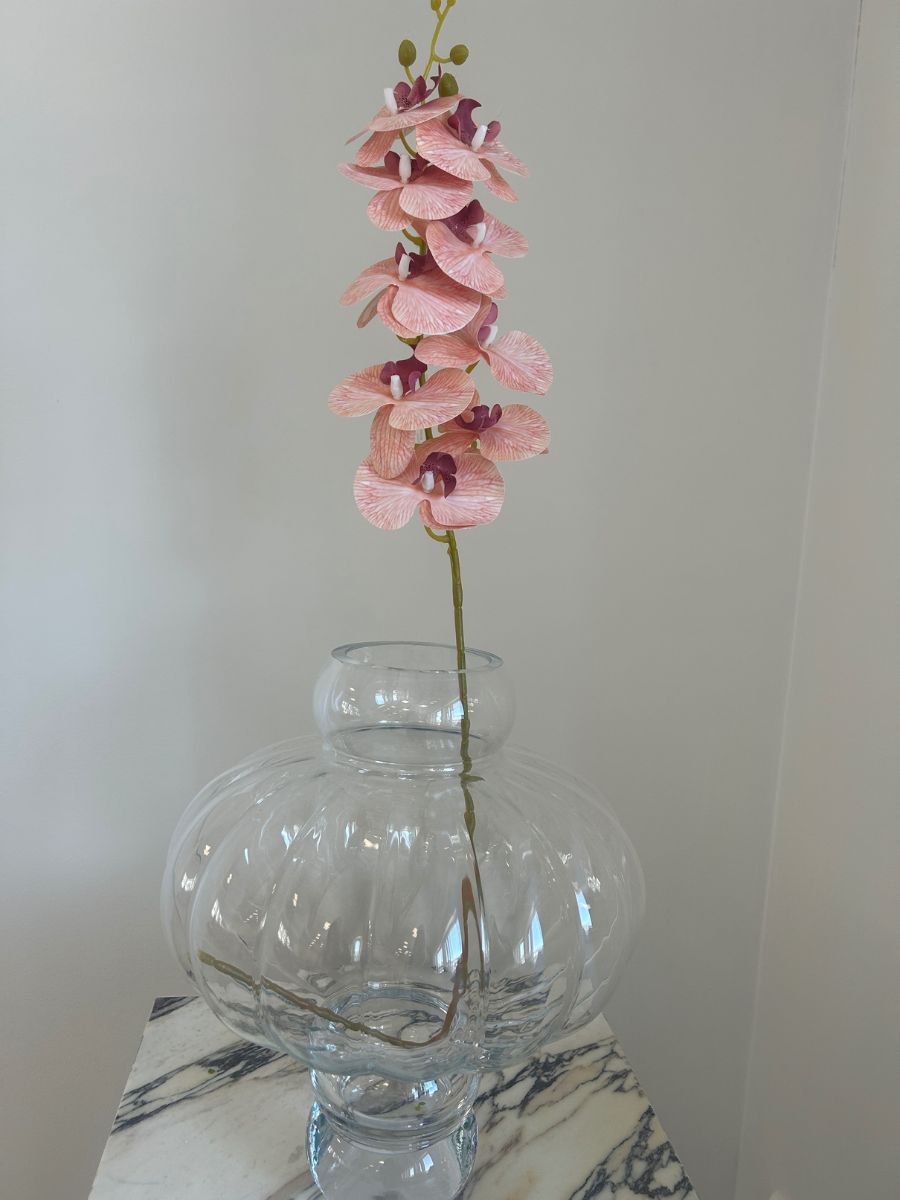 Peach Orchid