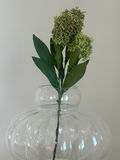 Emerald Skimmia Berry Branch