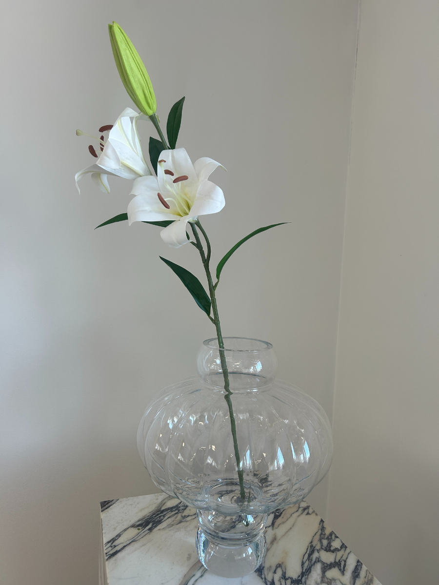 White Large Lily