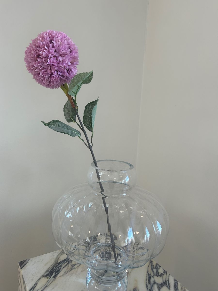 Purple Allium Azureum