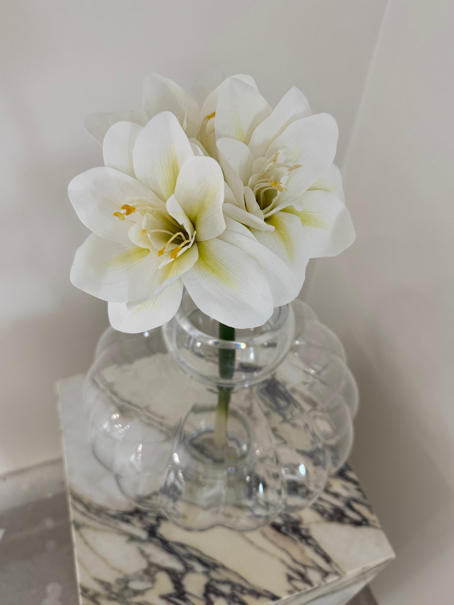 Royal Amaryllis Bouquet