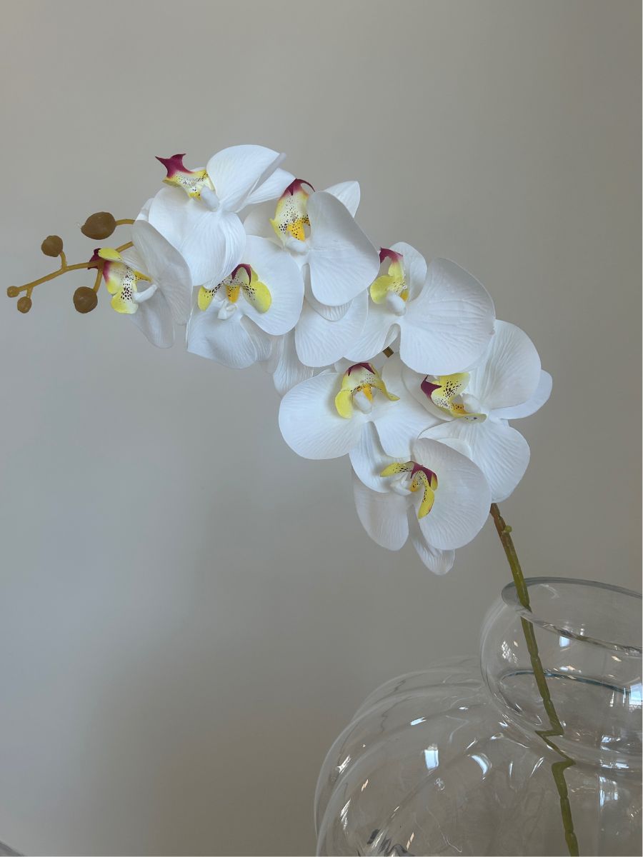 White Mix Orchid