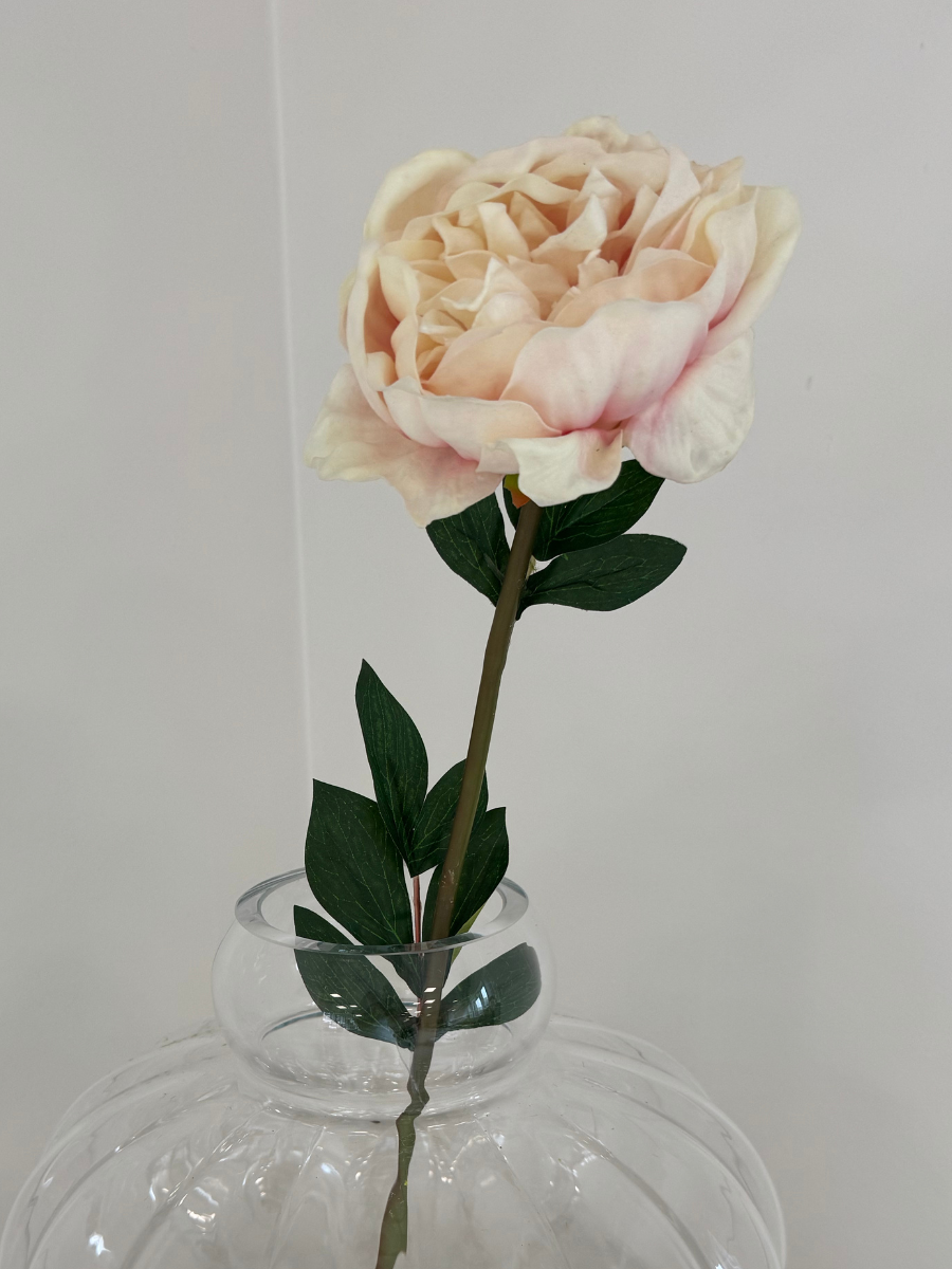 Blush Peony Bouquet