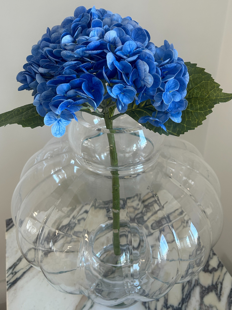 Midnight Blue Hydrangea