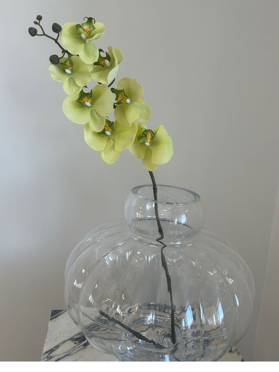 Light Green Orchid