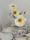 Ivory Poppy
