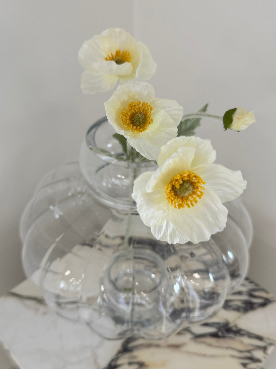 Ivory Poppy