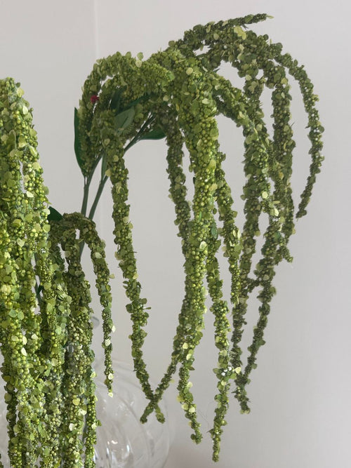 Emerald Amaranthus Bouquet