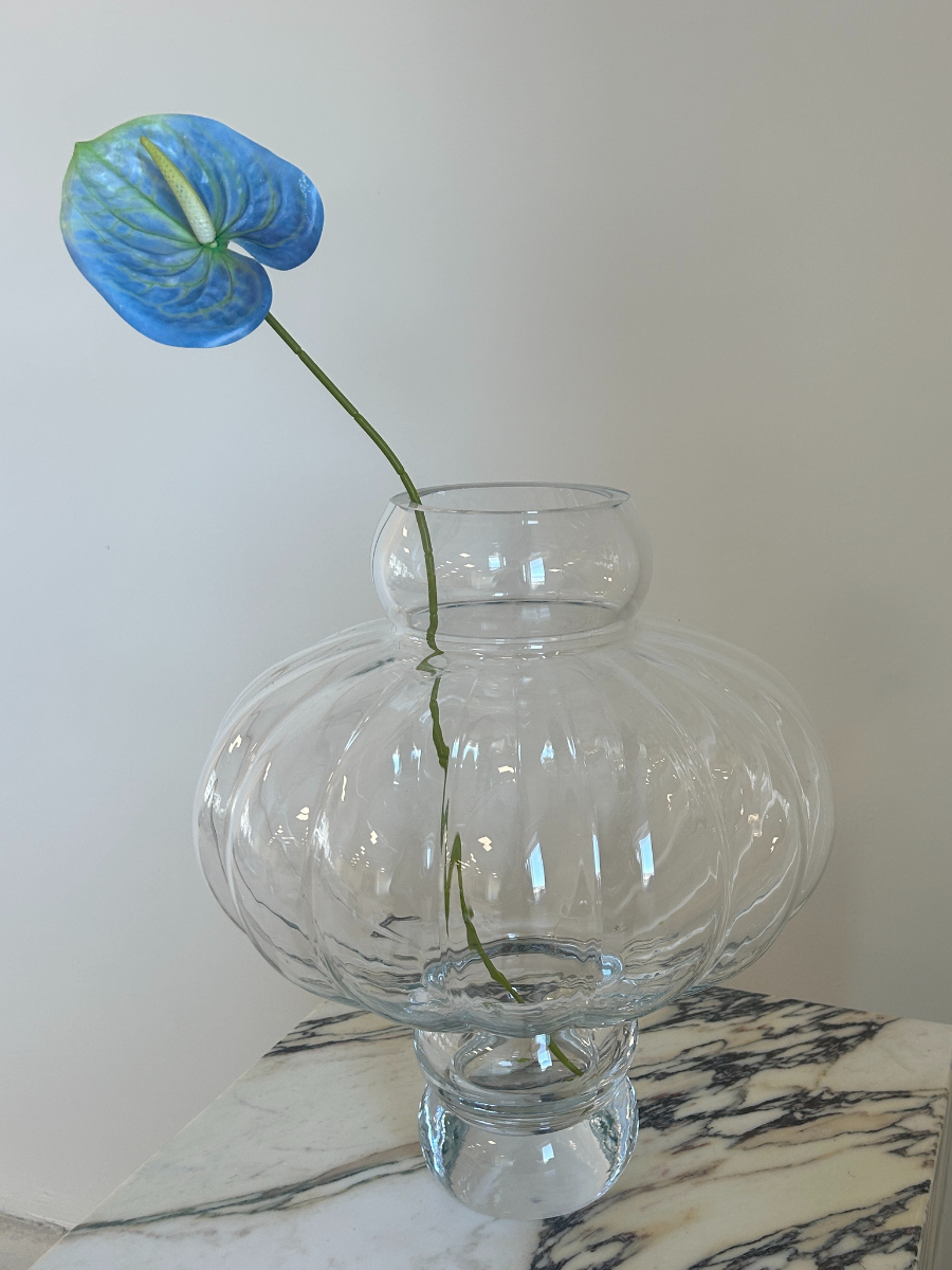 Ocean Mist Anthurium