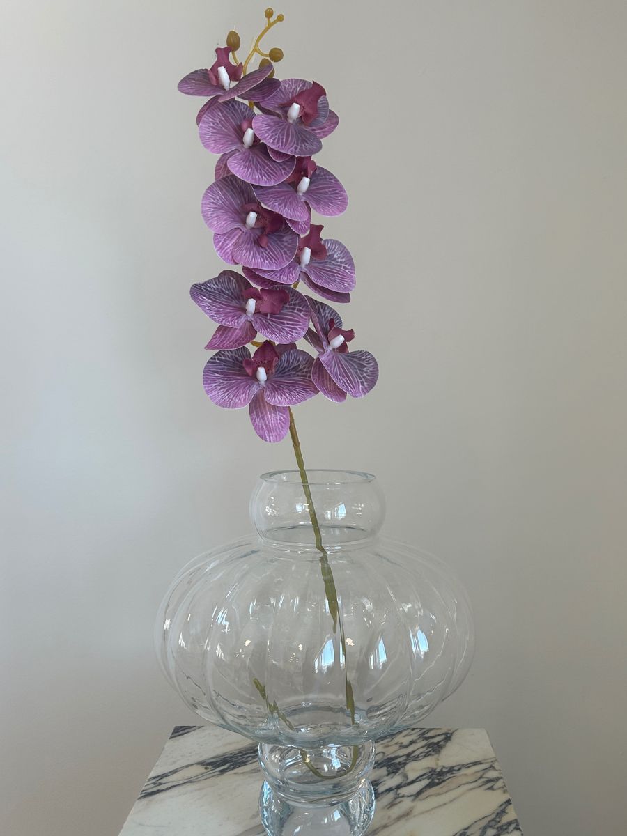 Light Purple Orchid
