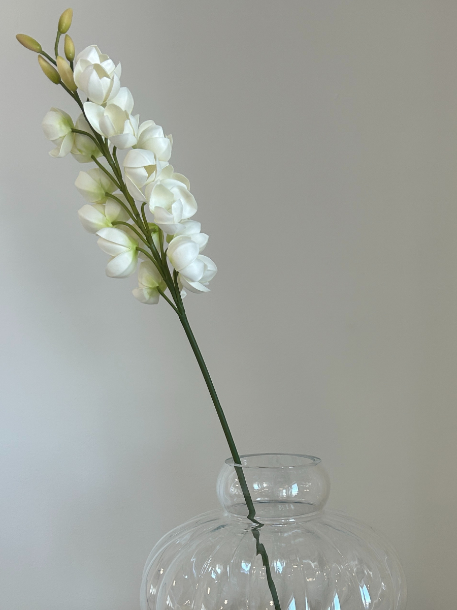 Desert Yucca Stem