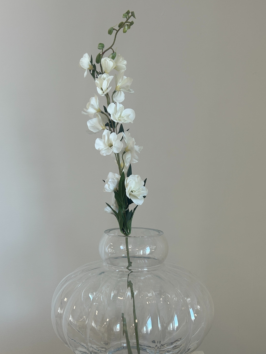 Ivory Delphinium