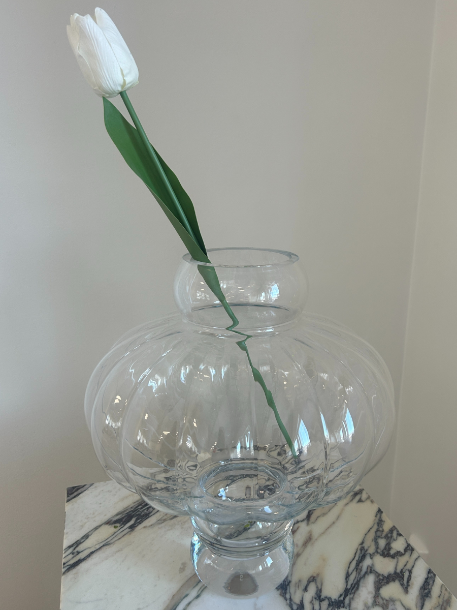 Pure White Tulip