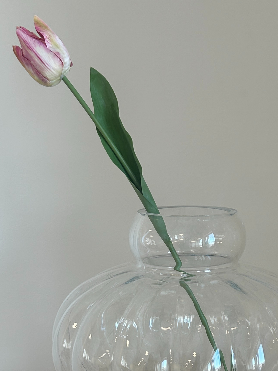 Vintage Blush Tulip